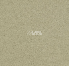 Ковровая плитка Interface Polichrome Solid 4266017 Turtledove фото 1 | FLOORDEALER